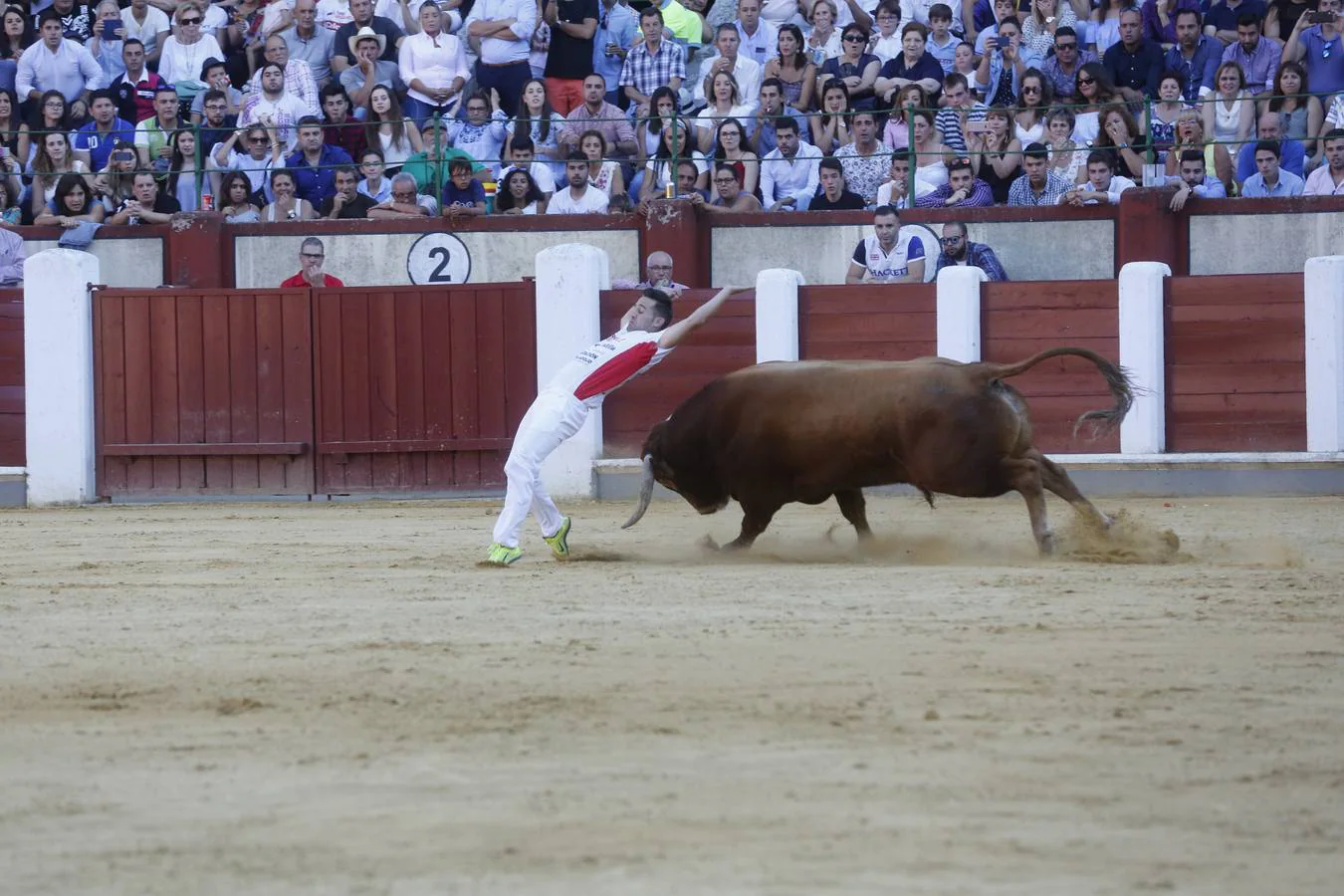 Pablo Martín &#039;Guindi&#039; gana la Liga del Corte Puro