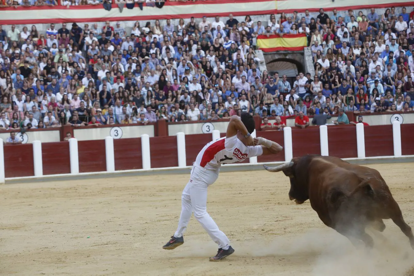 Pablo Martín &#039;Guindi&#039; gana la Liga del Corte Puro