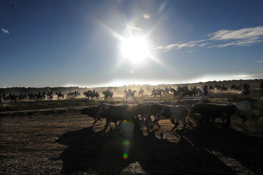 Segundo encierro de las fiestas de Medina del Campo