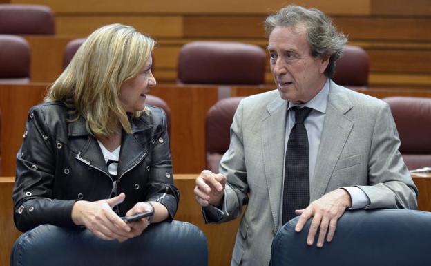 Pilar del Olmo y José Antonio de Santiago-Juárez, ayer en el pleno.