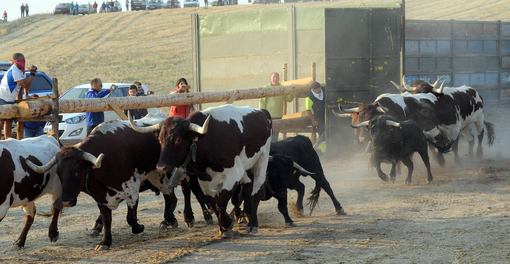 La suelta que se caracterizo por su rapidez y no contó con incidentes reseñables