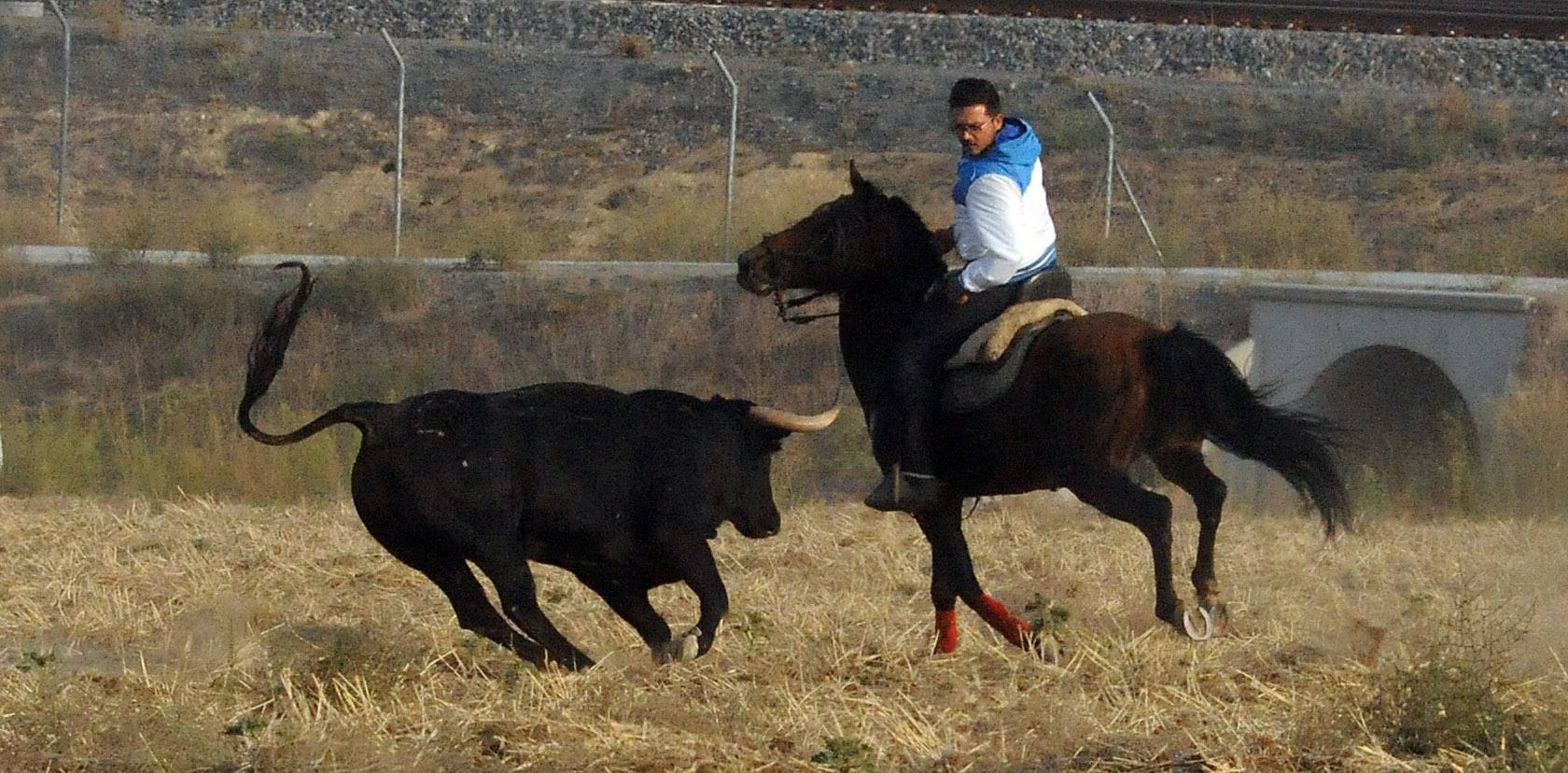 La suelta que se caracterizo por su rapidez y no contó con incidentes reseñables