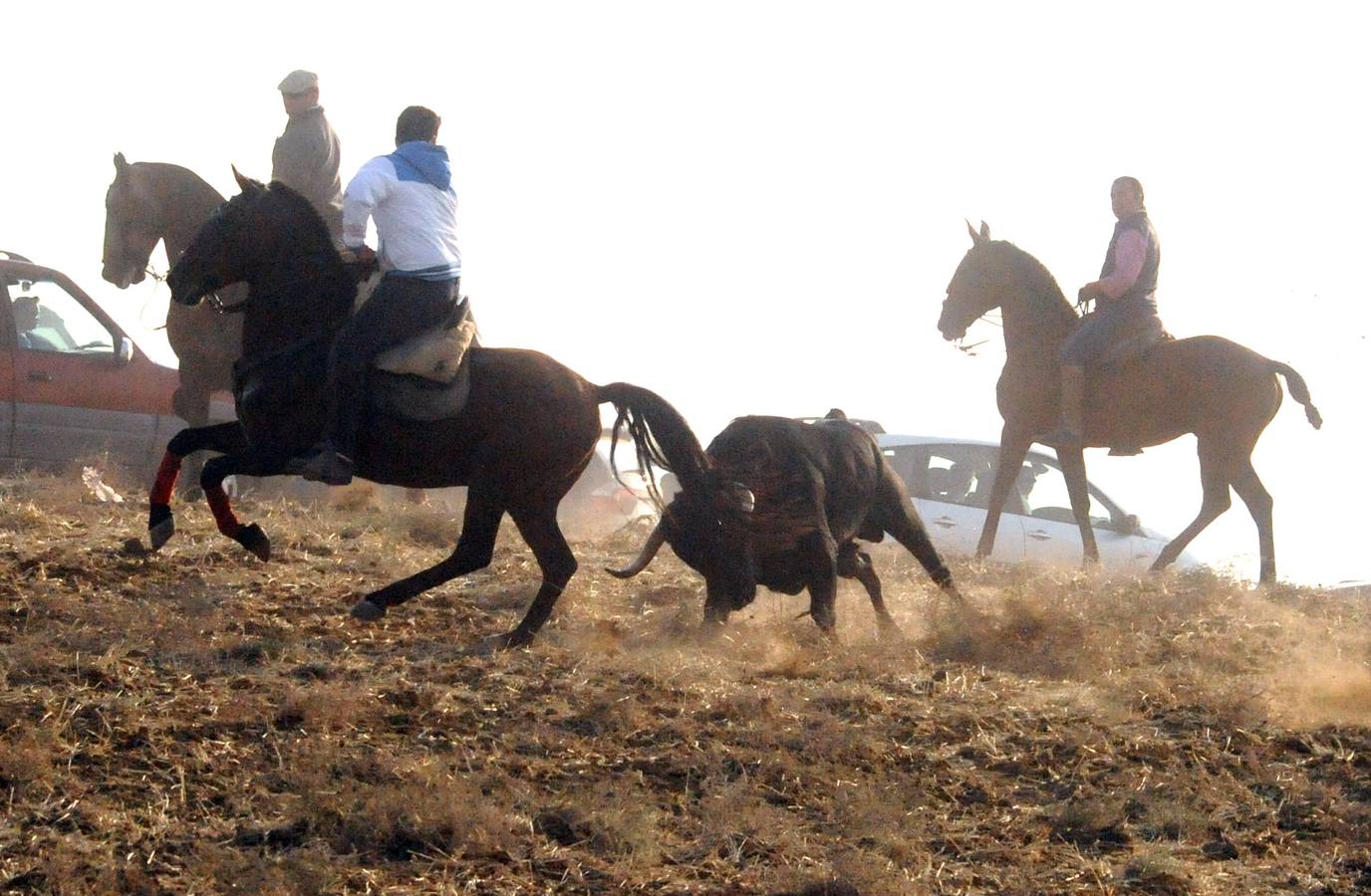 La suelta que se caracterizo por su rapidez y no contó con incidentes reseñables