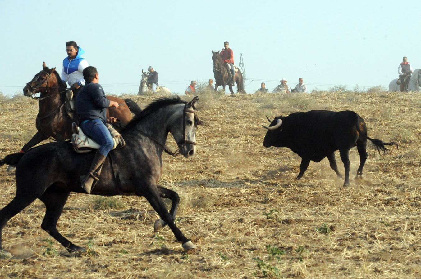 La suelta que se caracterizo por su rapidez y no contó con incidentes reseñables