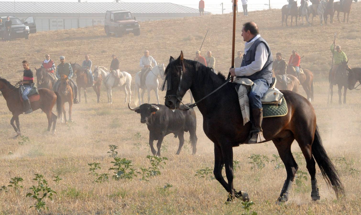 La suelta que se caracterizo por su rapidez y no contó con incidentes reseñables