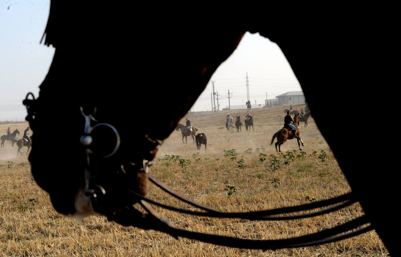 La suelta que se caracterizo por su rapidez y no contó con incidentes reseñables