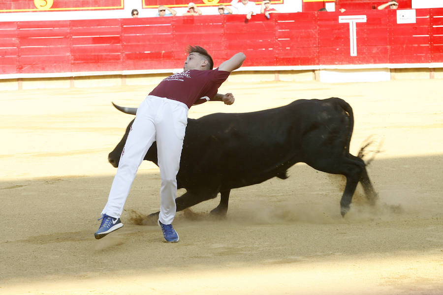 Concurso de cortes en Laguna de Duero