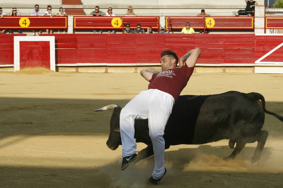 Concurso de cortes en Laguna de Duero