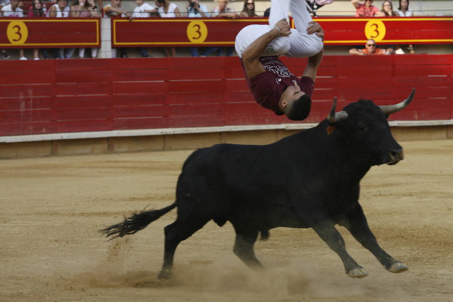 Concurso de cortes en Laguna de Duero