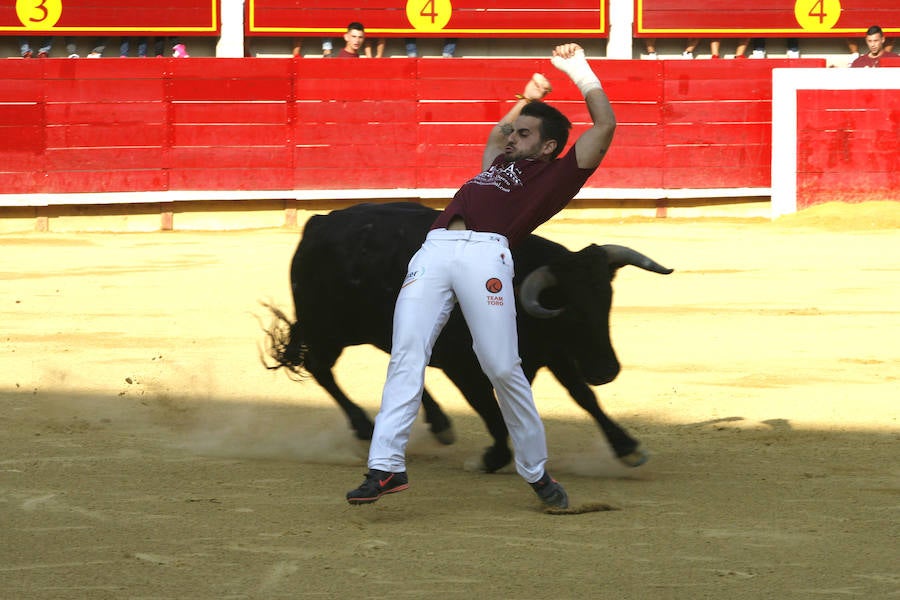 Concurso de cortes en Laguna de Duero