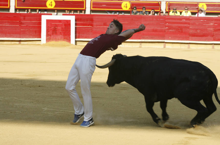 Concurso de cortes en Laguna de Duero