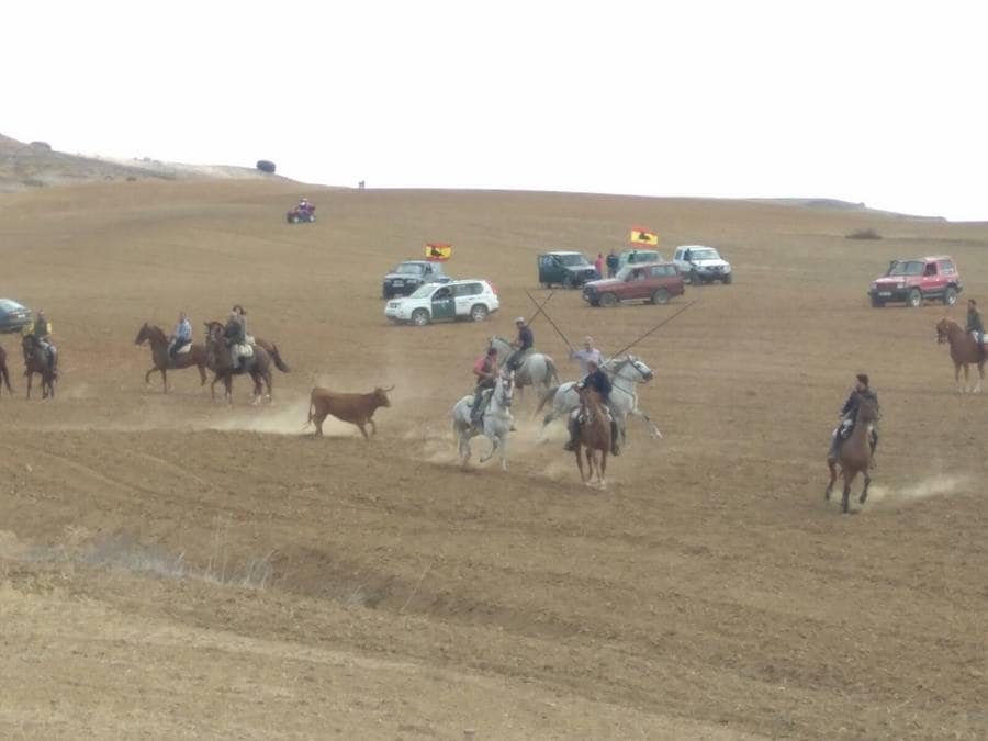 Fiestas en Paredes de Nava