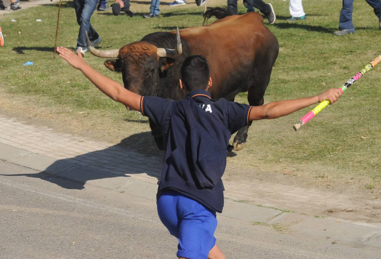 Un vecino de Málaga ha resultado herido grave tras sufrir una cornada en un muslo