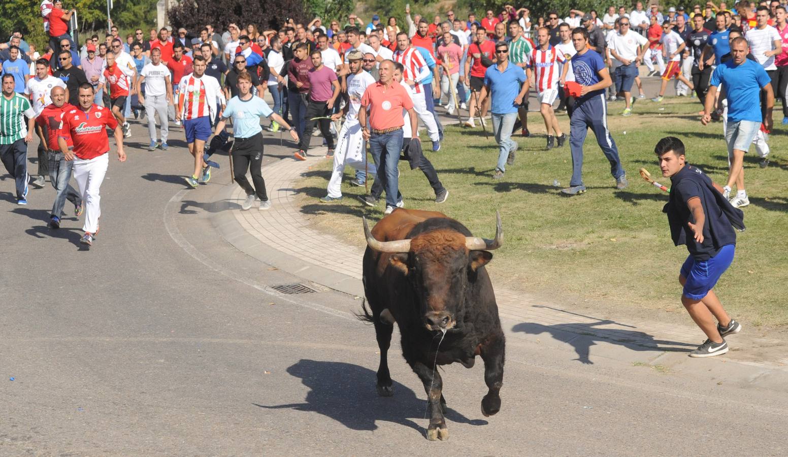 Un vecino de Málaga ha resultado herido grave tras sufrir una cornada en un muslo