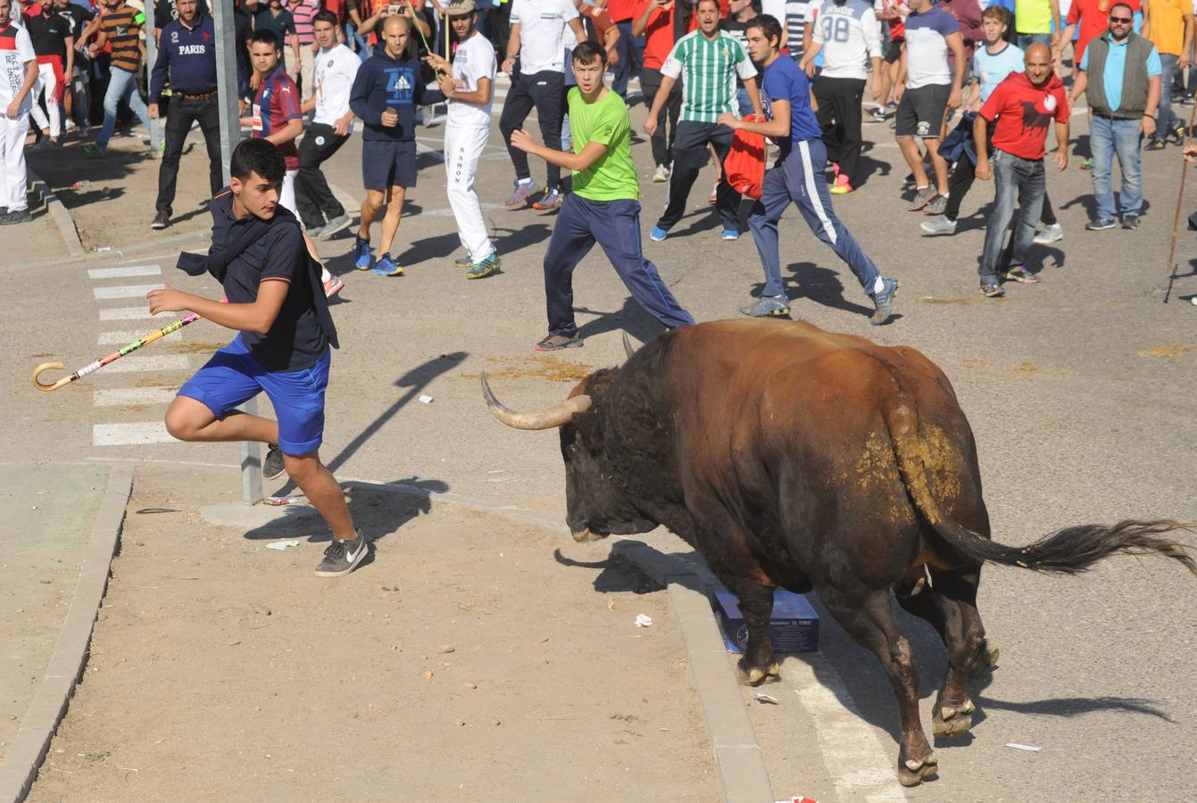 Un vecino de Málaga ha resultado herido grave tras sufrir una cornada en un muslo