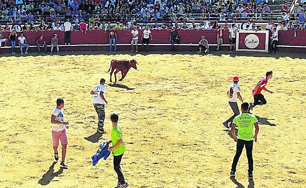 Probadilla de San Miguel, en la plaza de toros de Cuéllar. 