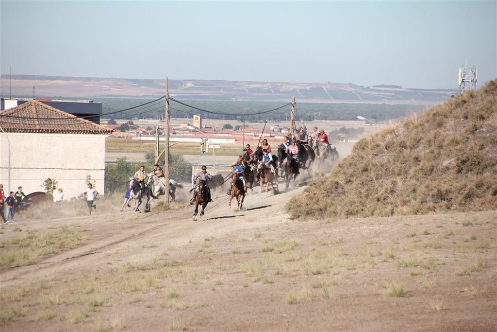 Segundo encierro de las fiestas de Arrabal de Portillo (Valladolid)