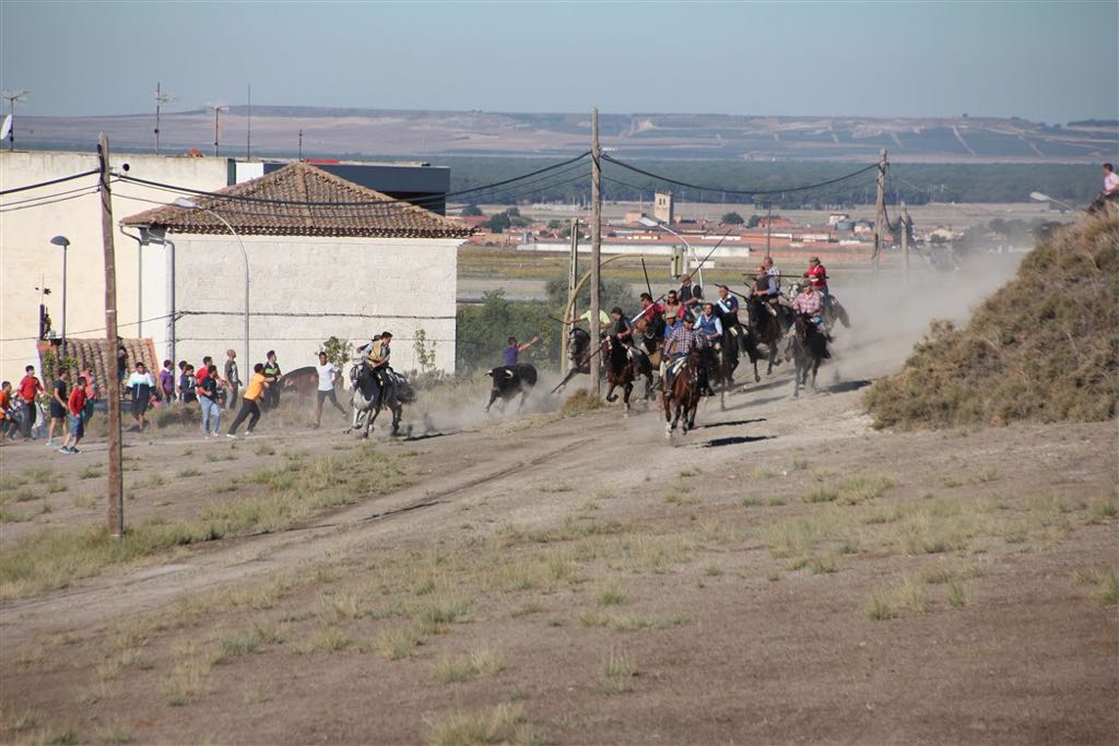 Segundo encierro de las fiestas de Arrabal de Portillo (Valladolid)