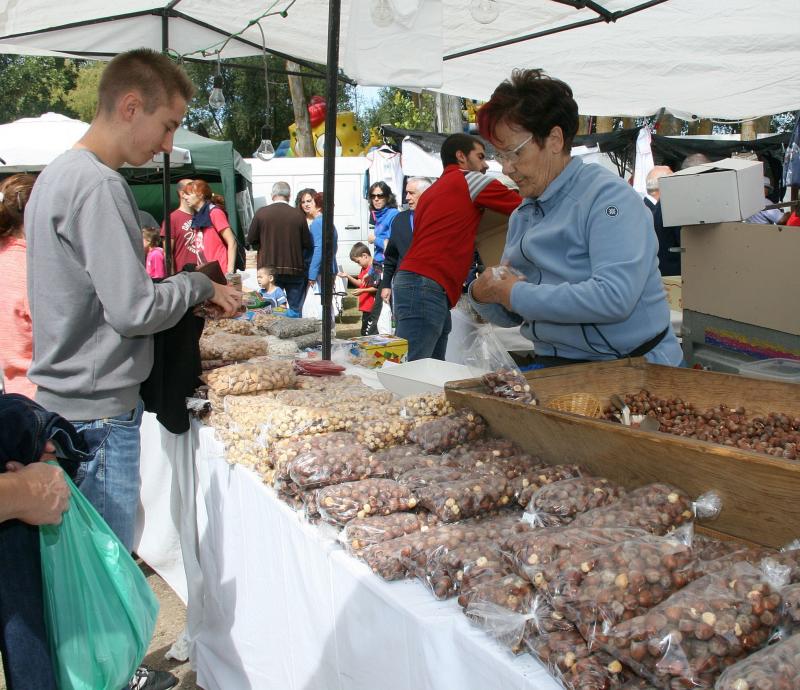 Romería del Henar en Cuéllar