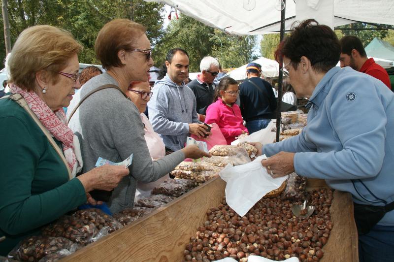 Romería del Henar en Cuéllar