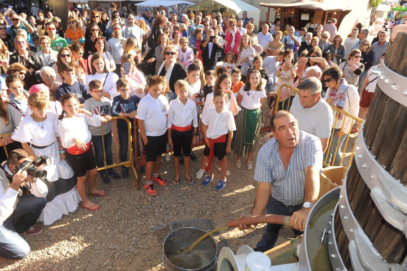 El plato fuerte del día fue el tradicional pisado de 150 kilos de uva y la posterior degustación del primer mosto de la cosecha de 2017