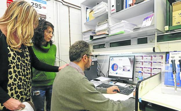 Un equipo de investigadores trabaja en los laboratorios de la Facultad de Ciencias. 