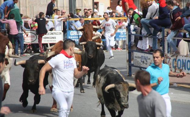 Encierro del domingo en Nava de la Asunción.