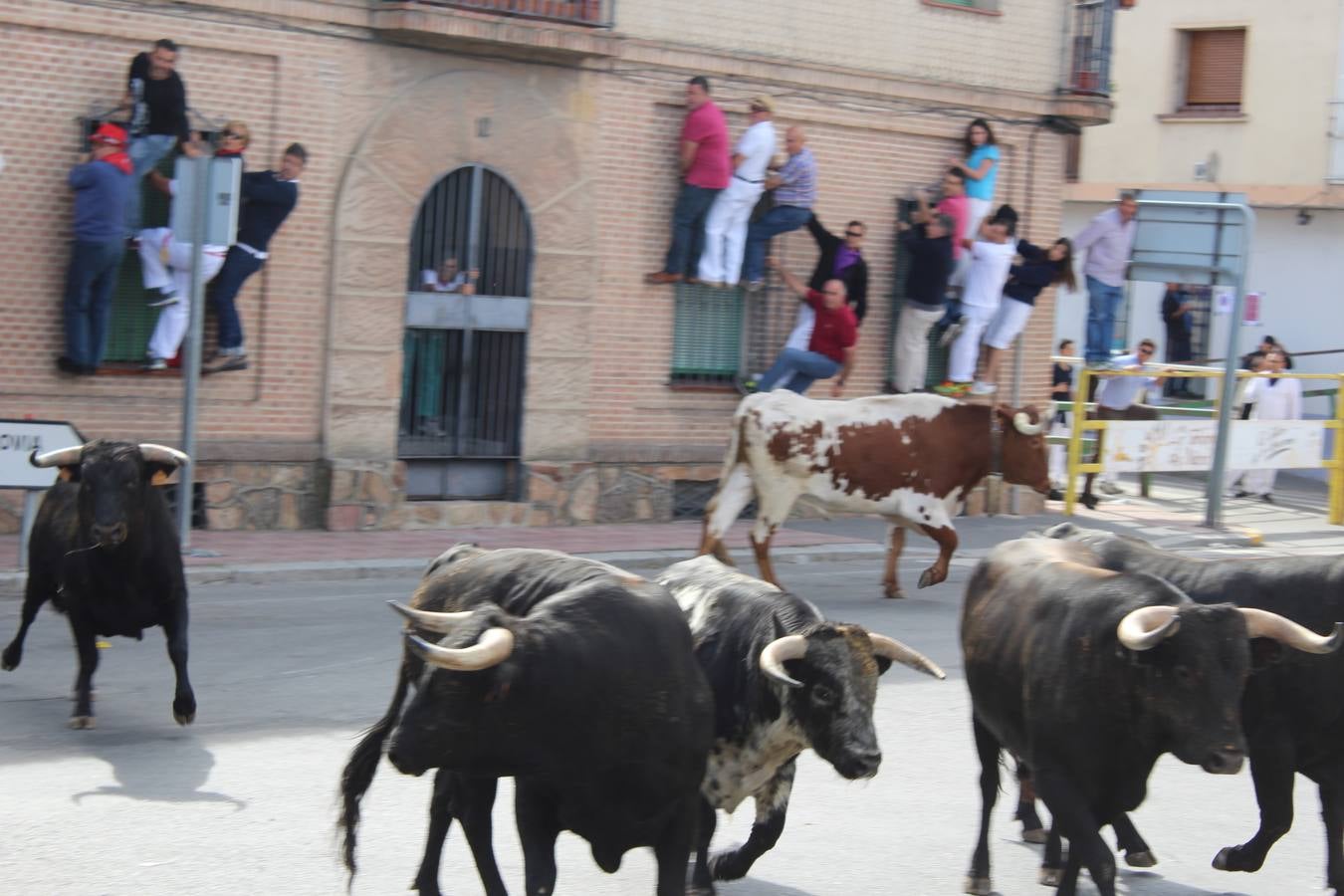 Fiestas en Nava de la Asunción (Segovia)