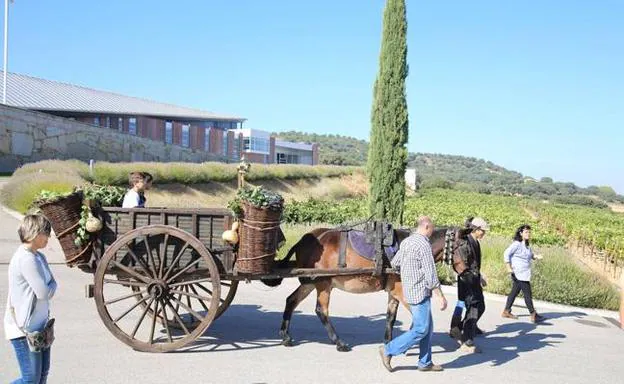 Fiesta de la Vendimia en la bodega Valbusenda.