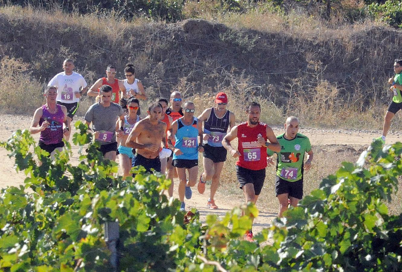 Circuito &#039;Corriendo entre Viñas&#039;