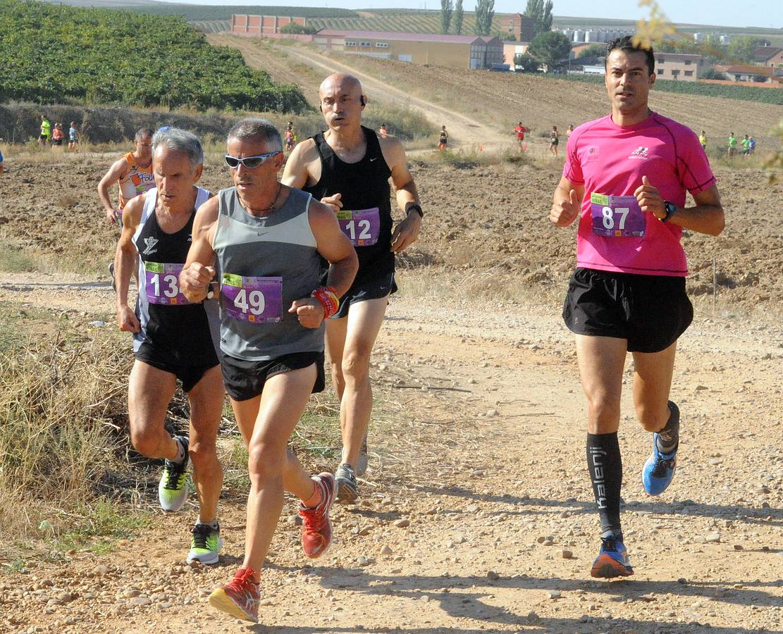 Circuito &#039;Corriendo entre Viñas&#039;