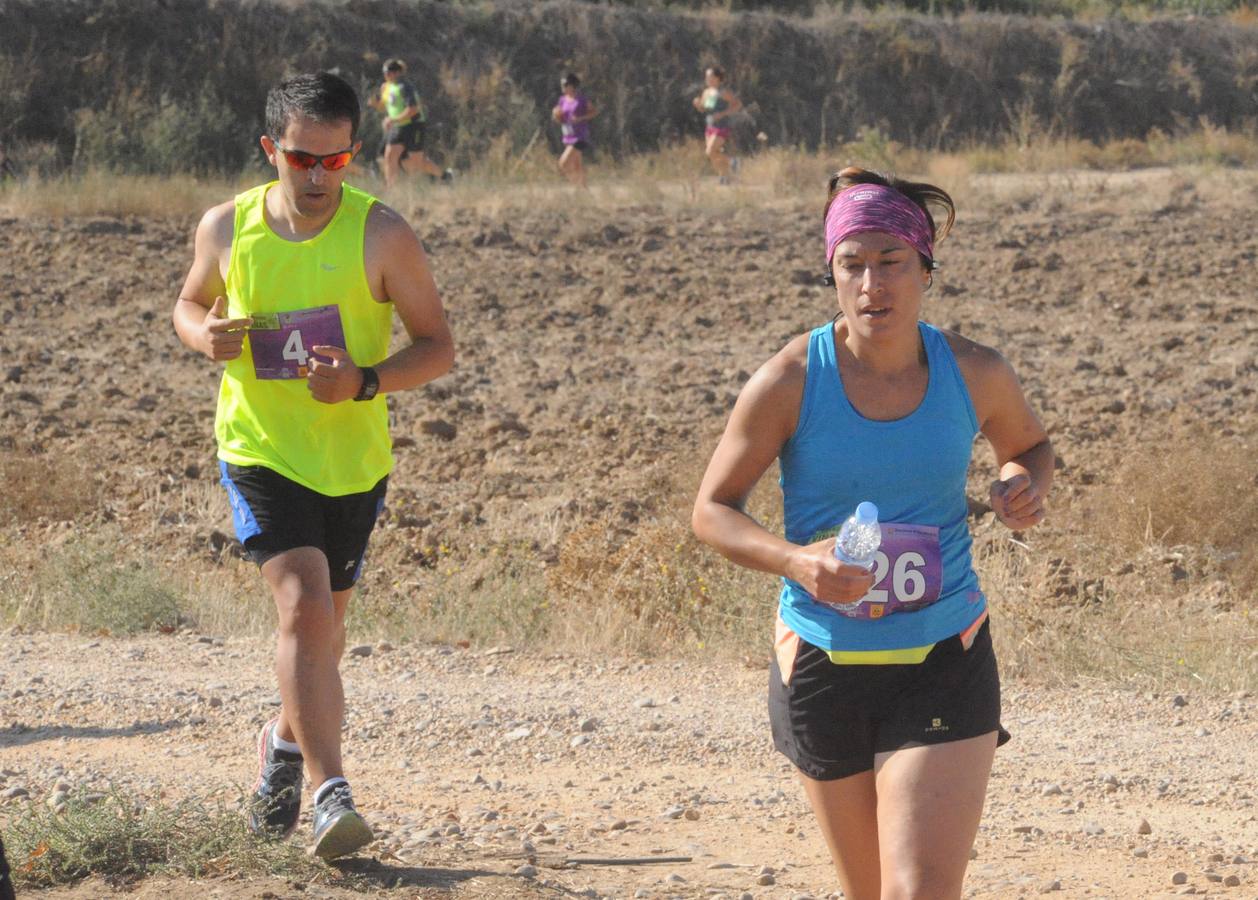 Circuito &#039;Corriendo entre Viñas&#039;