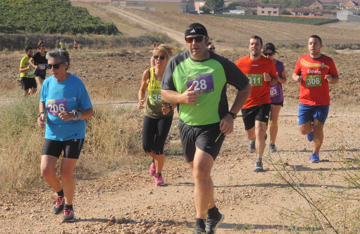 Circuito &#039;Corriendo entre Viñas&#039;