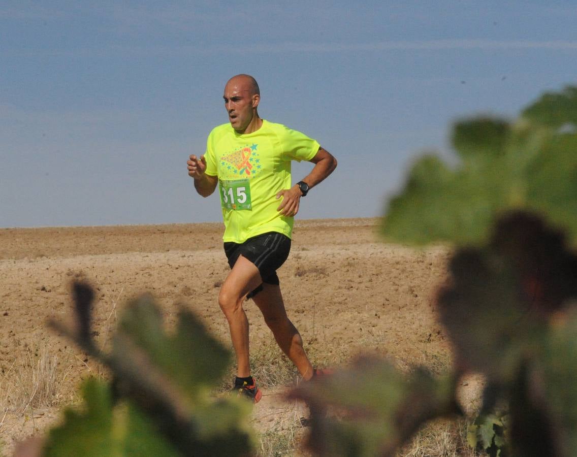 Circuito &#039;Corriendo entre Viñas&#039;