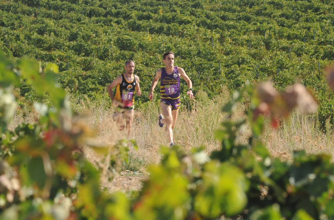 Circuito &#039;Corriendo entre Viñas&#039;