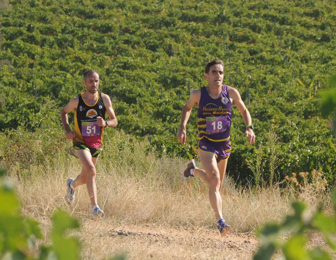 Circuito &#039;Corriendo entre Viñas&#039;