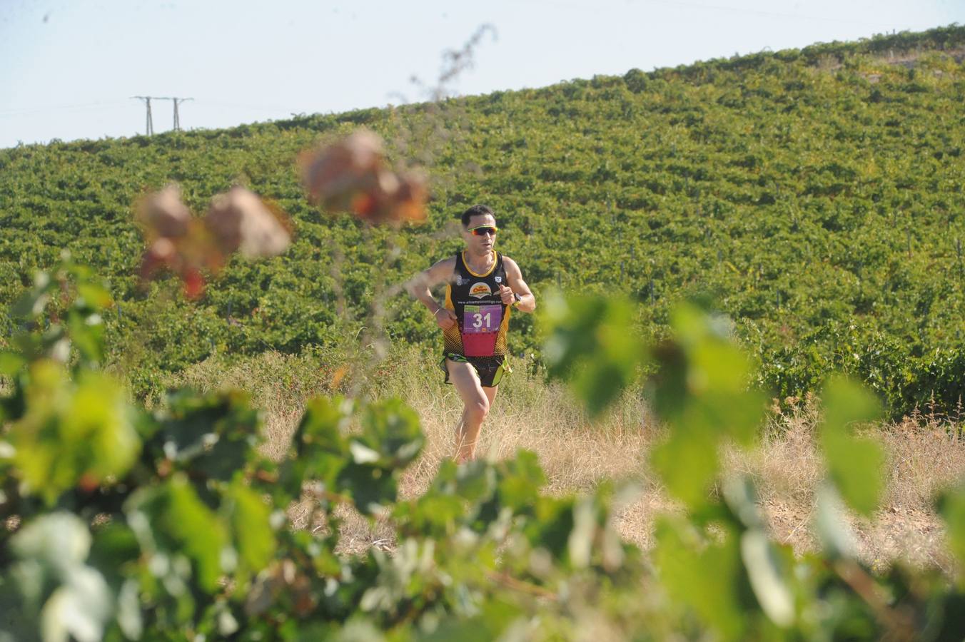 Circuito &#039;Corriendo entre Viñas&#039;