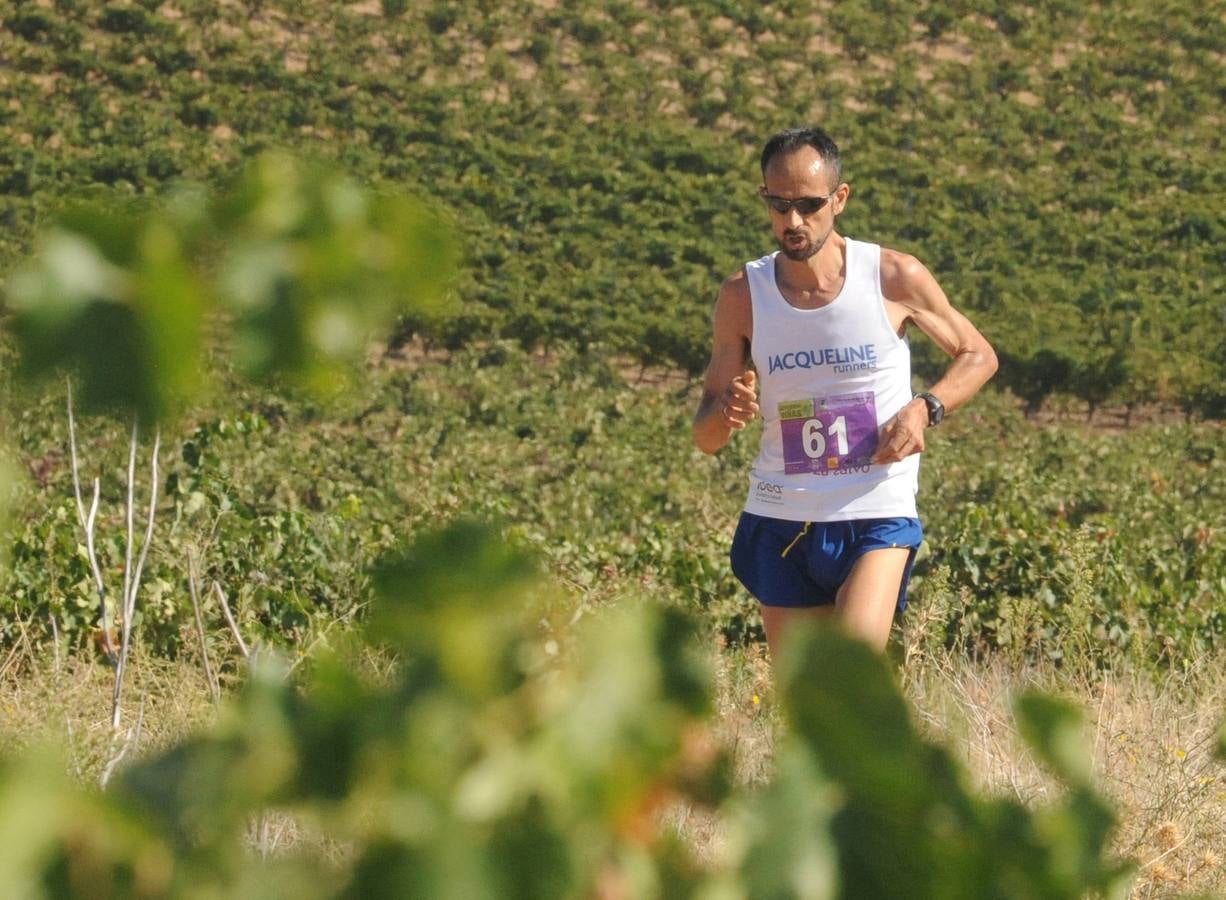 Circuito &#039;Corriendo entre Viñas&#039;