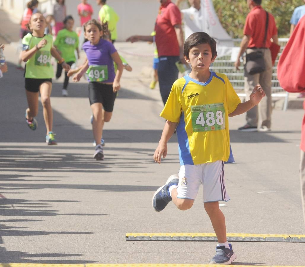 Circuito &#039;Corriendo entre Viñas&#039;