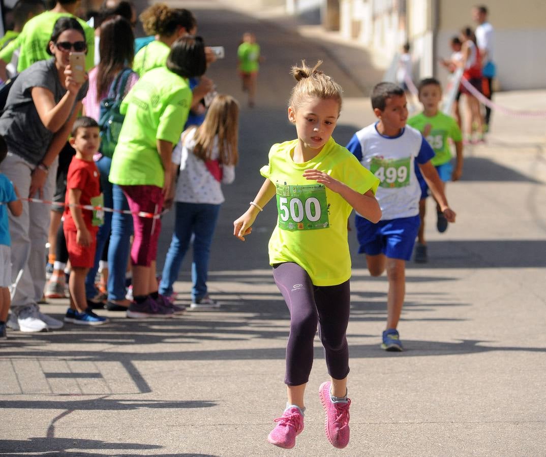 Circuito &#039;Corriendo entre Viñas&#039;