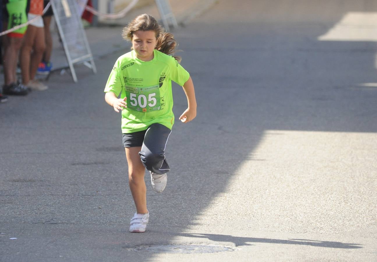 Circuito &#039;Corriendo entre Viñas&#039;