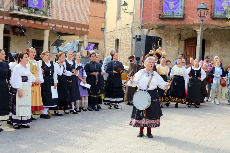 Día de la Provincia en Astudillo (Parte 2/2)