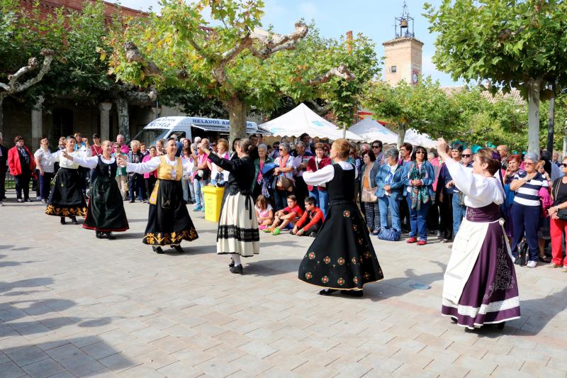 Día de la Provincia en Astudillo (Parte 2/2)