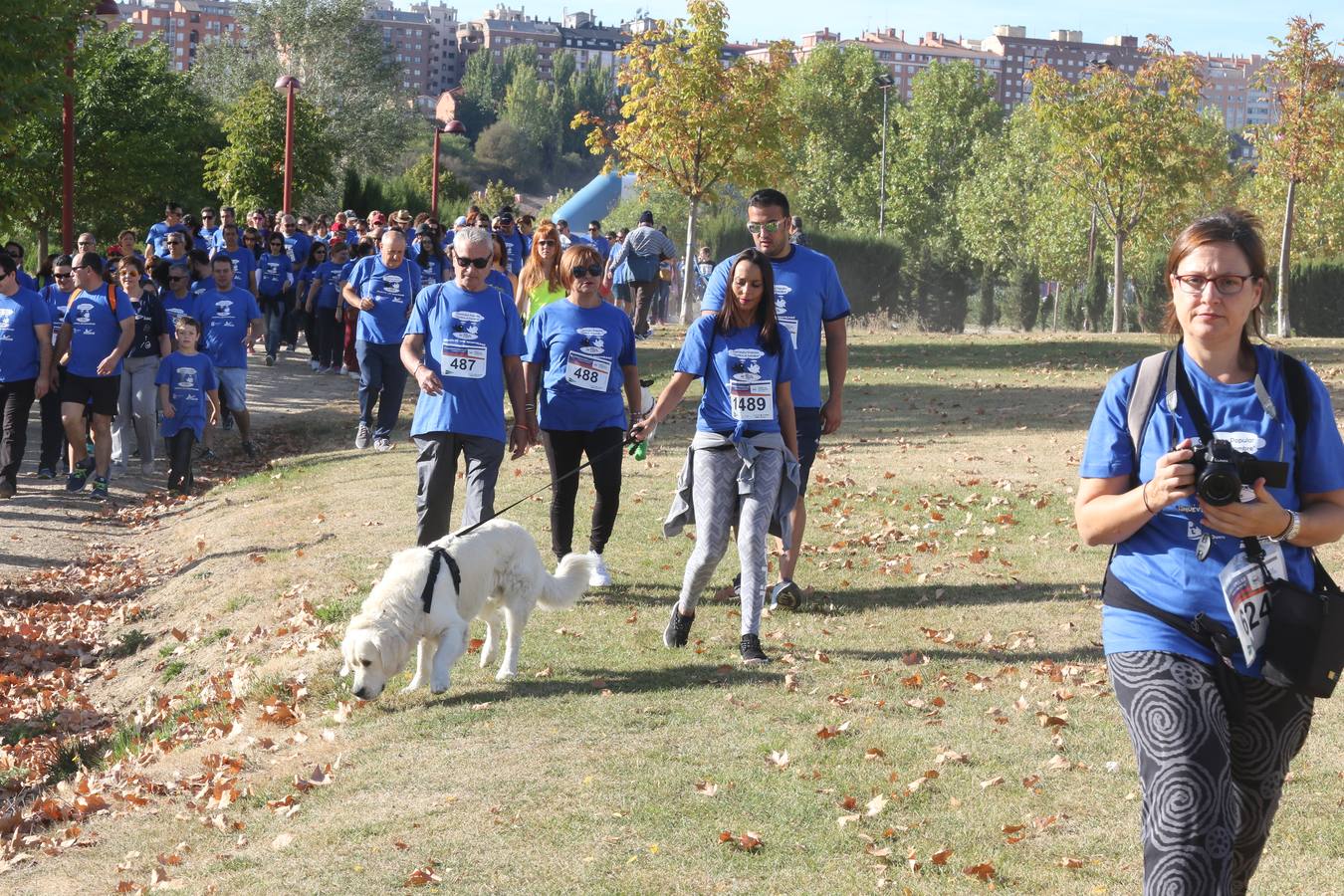 III Caminata solidaria por el Banco de Alimentos (1/2)