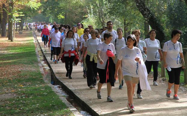 Un grupo de caminantes, en la alameda del Parral camino de La Fuencisla.