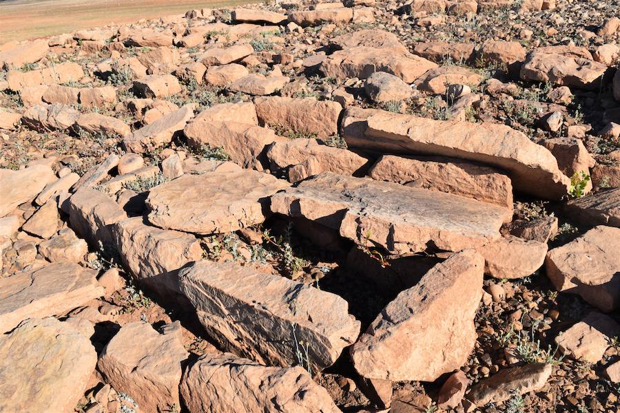 La disminución de las aguas del embalse permite que afloren piezas que van desde el jurásico al sigo XXI