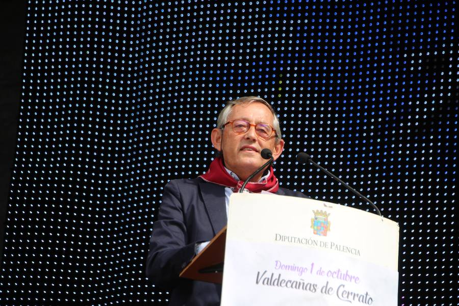 XX Fiesta de la Vendimia del Arlanza en Valdecañas de Cerrato (1/3)