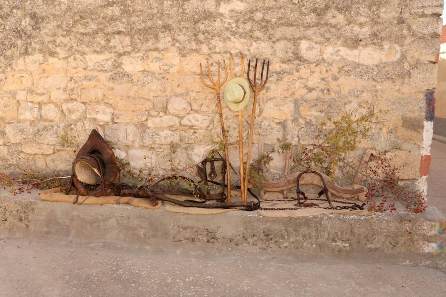 XX Fiesta de la Vendimia del Arlanza en Valdecañas de Cerrato (1/3)