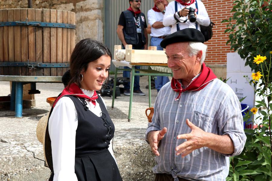 XX Fiesta de la Vendimia del Arlanza en Valdecañas de Cerrato (1/3)