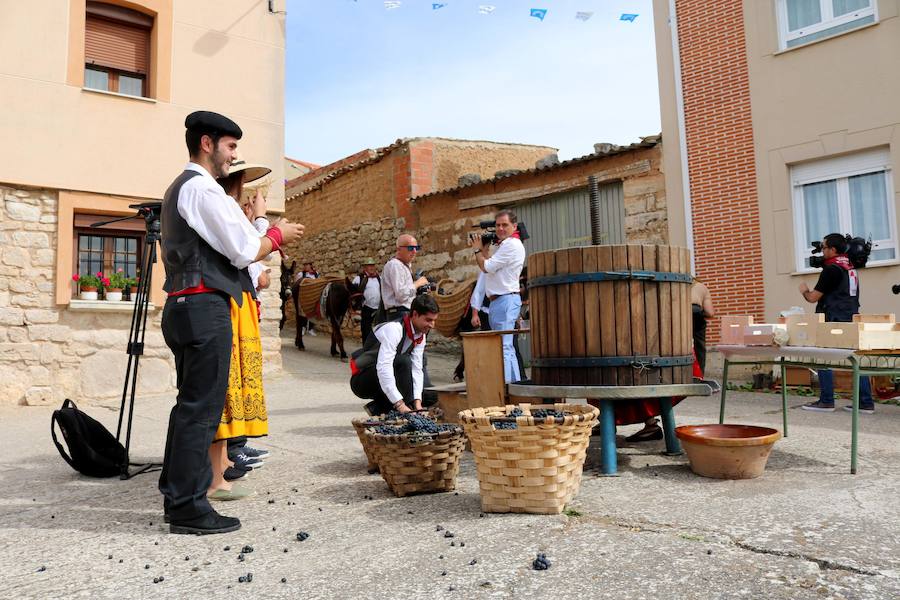 XX Fiesta de la Vendimia del Arlanza en Valdecañas de Cerrato (1/3)